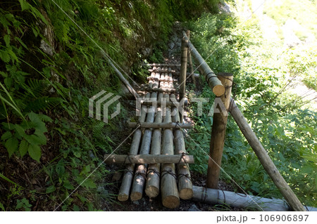 山道の丸太の山道夏の黒部峡谷下ノ廊下（旧道電歩道 106906897