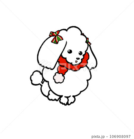 クリスマス白トイプードル 106908097