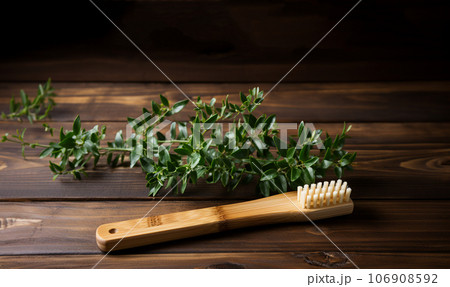 Eco-friendly bamboo toothbrushes and eucalyptus leaf on green background. Natural organic bathroom beauty product concept. Flat lay, top view, copy space. Natural bamboo toothbrush green background Eco-friendly bamboo toothbrushes and eucalyptus leaf on green background. Natural organic bathroom beauty product concept. Flat lay, top view, copy space. Natural bamboo toothbrush green background 106908592