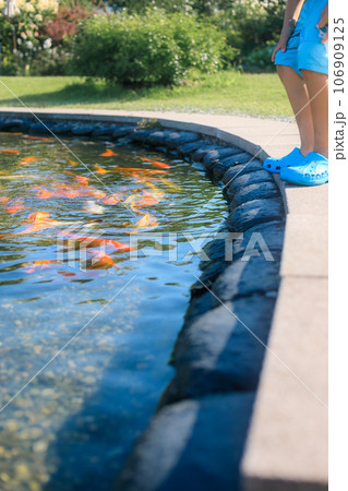 鯉の池を覗く子ども 106909125