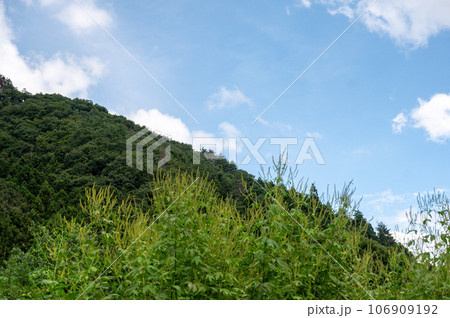 夏の群馬県 106909192