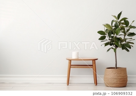 Ficus and stool near white wall, space for text. Home plants 106909332