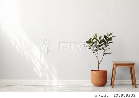 Ficus and stool near white wall, space for text. Home plants 106909335