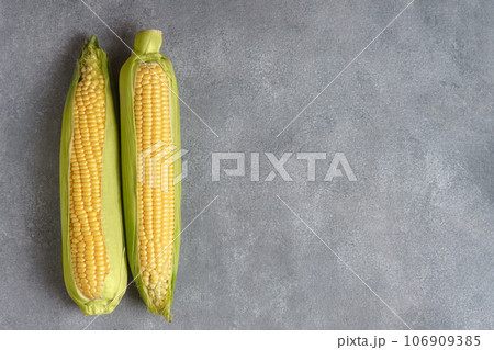 Two fresh yellow ear of corn with green leaves on gray texture background with copy space 106909385