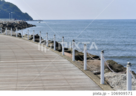 湘南　江ノ島　観光　藤沢 106909571