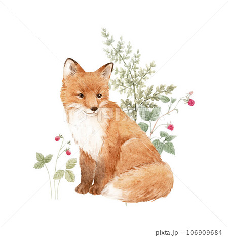Beautiful composition with hand drawn watercolor forest fox animal and plants withh berries. Stock illustration. Popular design. 106909684