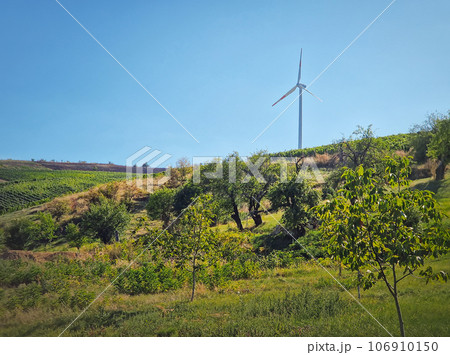Wind turbine on the top of a hill over the country valley with vineyard and fruit trees. Green energy conservation and environmental concepts Wind turbine on the top of a hill over the country valley with vineyard and fruit trees. Green energy conservation and environmental concepts 106910150