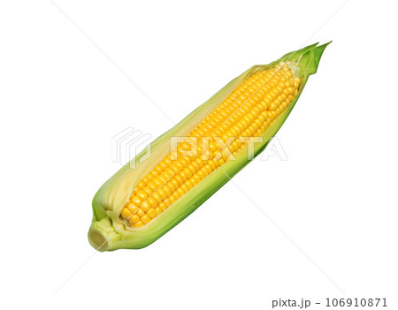Corn on white . 106910871