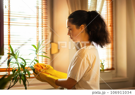 Side view of young Caucasian woman in rubber gloves wipes leaves of houseplant from dust 106911034