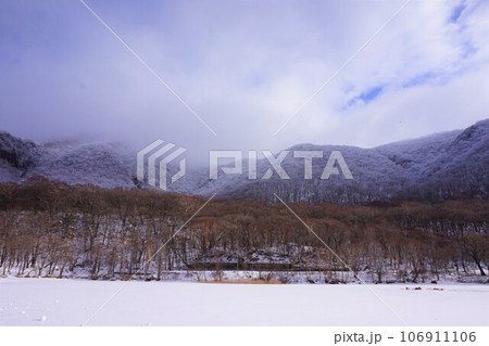 赤城神社　群馬県　赤城山　大洞赤城神社　啄木鳥橋　冬　 106911106