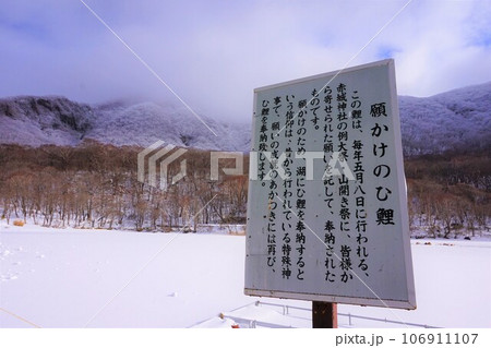 赤城神社　願かけのひ鯉　群馬県　赤城山　大洞赤城神社　啄木鳥橋　冬　 106911107