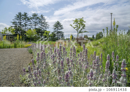 たくさんの種類の草花が咲き誇る庭園 106911438