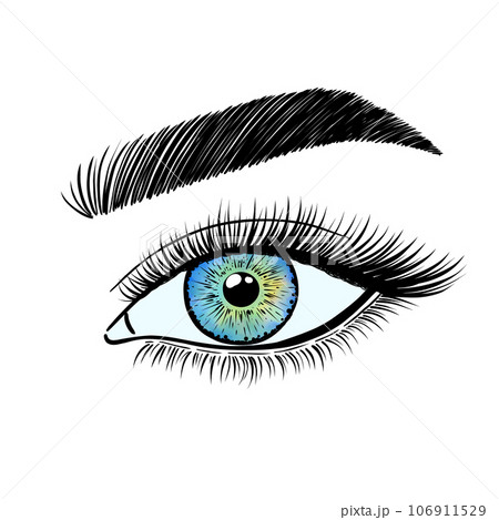 Female eyes in a linear style Female eyes in a linear style 106911529
