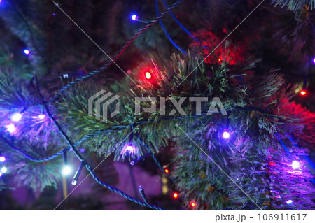 Christmas tree with garlands. Multi-colored light bulbs on the branches of a spruce. Electric lighting for festive evenings. Red, blue, purple and blue lights Christmas tree with garlands. Multi-colored light bulbs on the branches of a spruce. Electric lighting for festive evenings. Red, blue, purple and blue lights 106911617