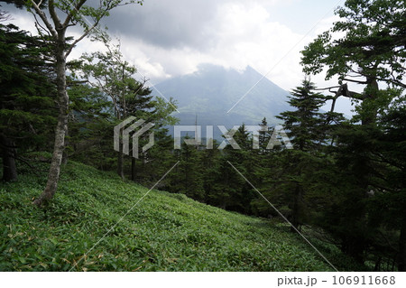 栃木県奥日光　山王帽子山2077mの山頂から男体山を見る 106911668