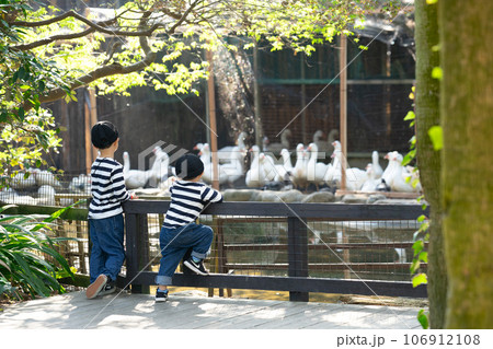 動物園を楽しむ子どもたち 動物園を楽しむ子どもたち 106912108