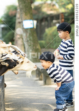 動物に餌をあげる子供 106912109