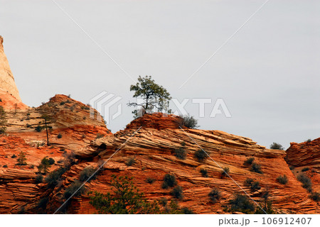 Zion National Park 106912407