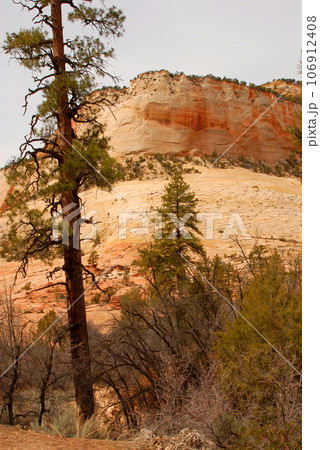 Zion National Park Zion National Park 106912408