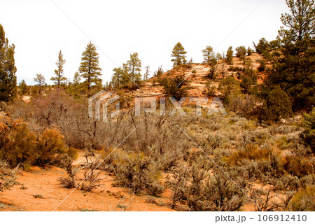 Zion National Park 106912410