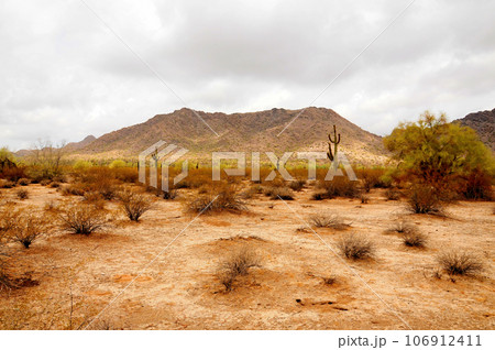 San Tan Mountains Sonora Desert Arizona 106912411
