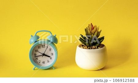 Alarm clock and a pot of flowers on a yellow background, Alarm clock and a pot of flowers on a yellow background, 106912588