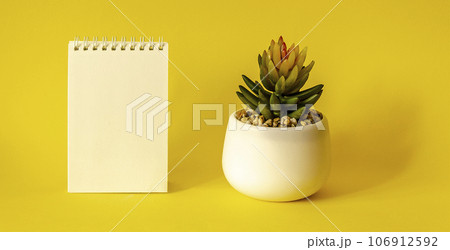 Blank desktop notebook with cactus pot on a yellow background 106912592