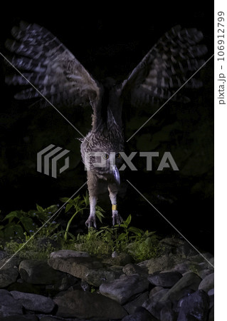 ゆっくり食べよ 106912799