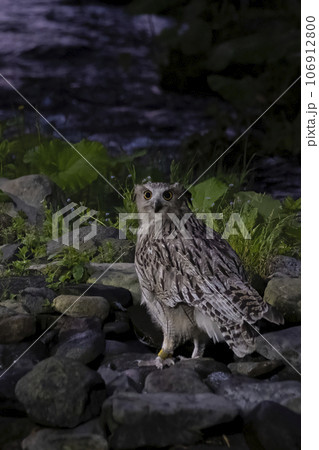 夜と朝の境い目 夜と朝の境い目 106912800