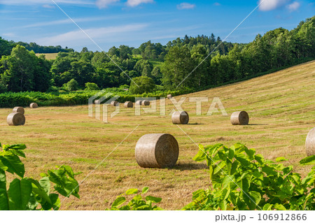 丘陵地の牧草ロール 106912866