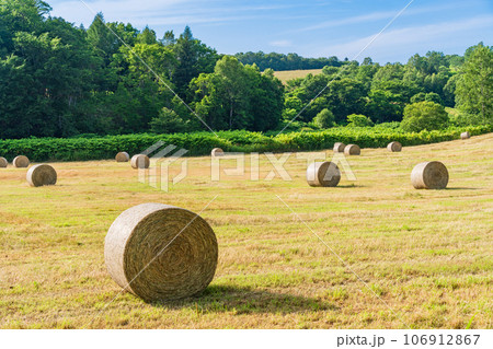 丘陵地の牧草ロール 106912867