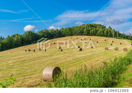 丘陵地の牧草ロール 丘陵地の牧草ロール 106912868