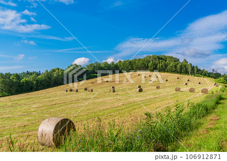 丘陵地の牧草ロール 106912871