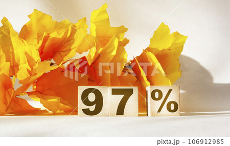 97 percent on wooden cubes and a white plate with orange foliage. Belarus, elections 97 percent on wooden cubes and a white plate with orange foliage. Belarus, elections 106912985