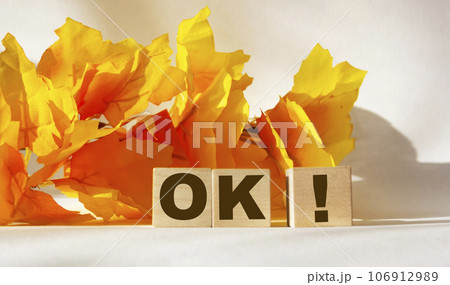 Word OK made from wooden cubes on a white background framed by yellow foliage Word OK made from wooden cubes on a white background framed by yellow foliage 106912989
