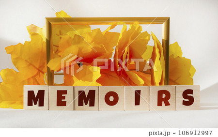 The word Memoirs on wooden blocks with a beautiful vintage background 106912997