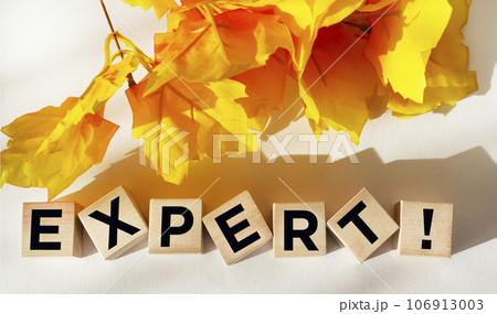The word EXPERT. Wooden cubes with letters on a white background with yellow foliage.  106913003