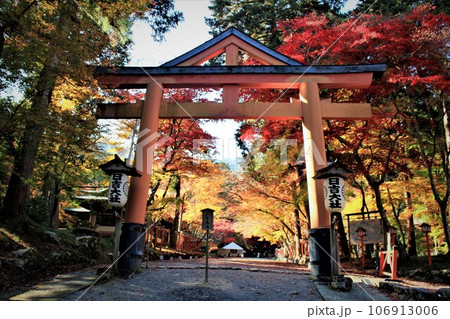 日吉大社紅葉 日吉大社紅葉 106913006