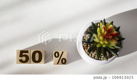 50 percent written on wooden blocks on a white background near a cactus. Place for text 106913025