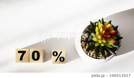 Wooden cubes with the inscription 70 OFF on a white background with a cactus Wooden cubes with the inscription 70 OFF on a white background with a cactus 106913027