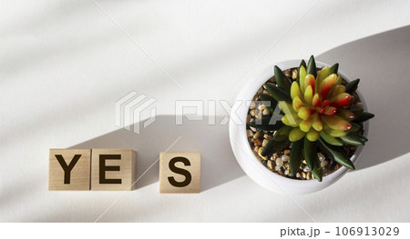 Message spells Yes on white background. Business, motivation and education concept 106913029