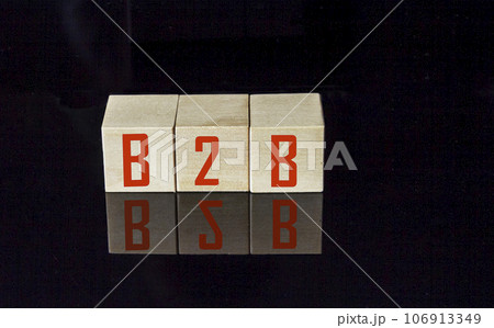 Acronym B2B- Business to Business. Wooden small cubes with letters isolated on black background  106913349