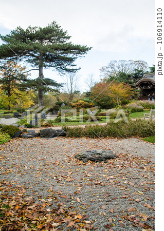 紅葉の木々に囲まれた日本庭園 ロンドン郊外のキューガーデンにて 紅葉の木々に囲まれた日本庭園 ロンドン郊外のキューガーデンにて 106914110