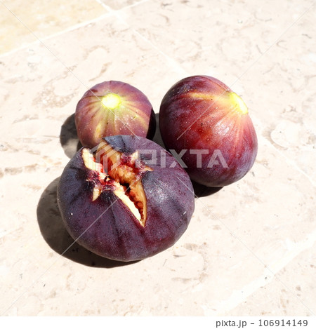 Fig or fig tree, or common fig tree, or Ficus carica is a subtropical deciduous plant of the genus Ficus of the Mulberry family. Ripe purple fig fruits on a light background. Healthy food. Fig or fig tree, or common fig tree, or Ficus carica is a subtropical deciduous plant of the genus Ficus of the Mulberry family. Ripe purple fig fruits on a light background. Healthy food. 106914149
