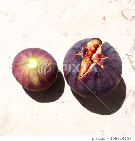 Fig or fig tree, or common fig tree, or Ficus carica is a subtropical deciduous plant of the genus Ficus of the Mulberry family. Ripe purple fig fruits on a light background. Healthy food. Fig or fig tree, or common fig tree, or Ficus carica is a subtropical deciduous plant of the genus Ficus of the Mulberry family. Ripe purple fig fruits on a light background. Healthy food. 106914157
