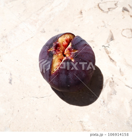 Fig or fig tree, or common fig tree, or Ficus carica is a subtropical deciduous plant of the genus Ficus of the Mulberry family. Ripe purple fig fruits on a light background. Healthy food. Fig or fig tree, or common fig tree, or Ficus carica is a subtropical deciduous plant of the genus Ficus of the Mulberry family. Ripe purple fig fruits on a light background. Healthy food. 106914158