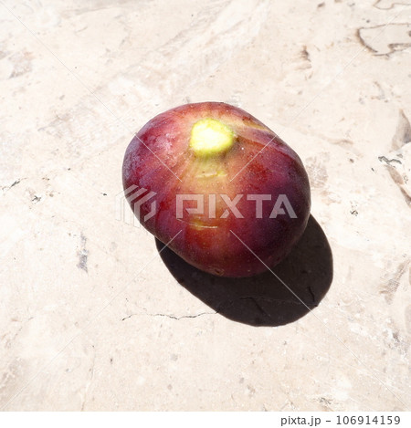Fig or fig tree, or common fig tree, or Ficus carica is a subtropical deciduous plant of the genus Ficus of the Mulberry family. Ripe purple fig fruits on a light background. Healthy food. Fig or fig tree, or common fig tree, or Ficus carica is a subtropical deciduous plant of the genus Ficus of the Mulberry family. Ripe purple fig fruits on a light background. Healthy food. 106914159