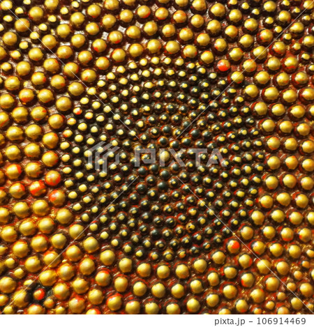 Pimples or spikes made of gold metal. Metal rounded bulges are located in a circle. Symbol of the sun or cycle. Unusual abstract background. The pimples are larger at the edges than in the middle 106914469