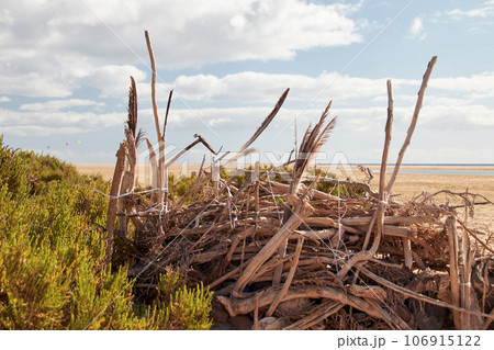A windbreak, built from natural materials, on the beach 106915122