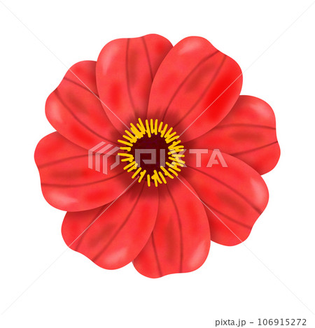 abstract flower with frame isolated on white 106915272